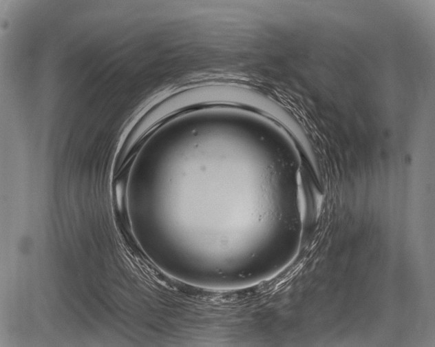X0000083980148200702161112
