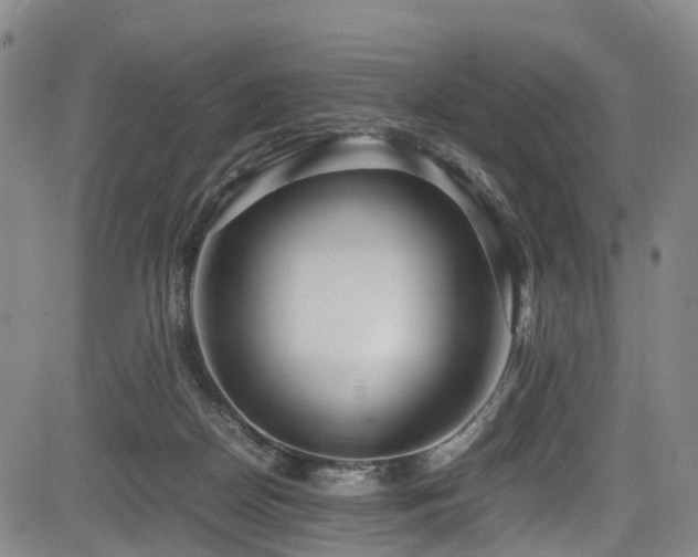 X0000083980170200702161112