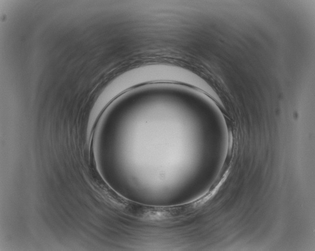 X0000083980174200702161112