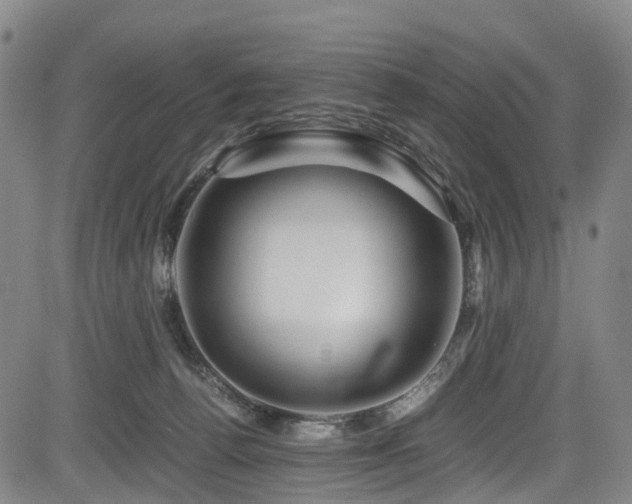 X0000083980176200702161113