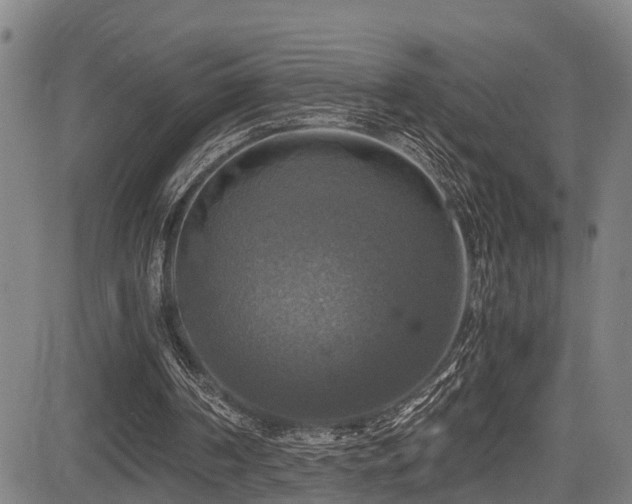 X0000083980194200702161112