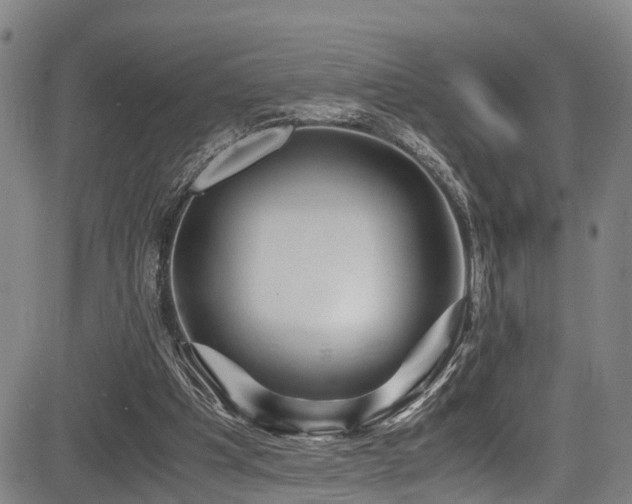X0000083980201200702161112