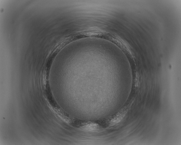 X0000083980210200702161112