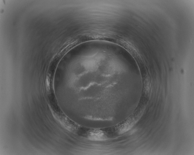 X0000083980214200702161112