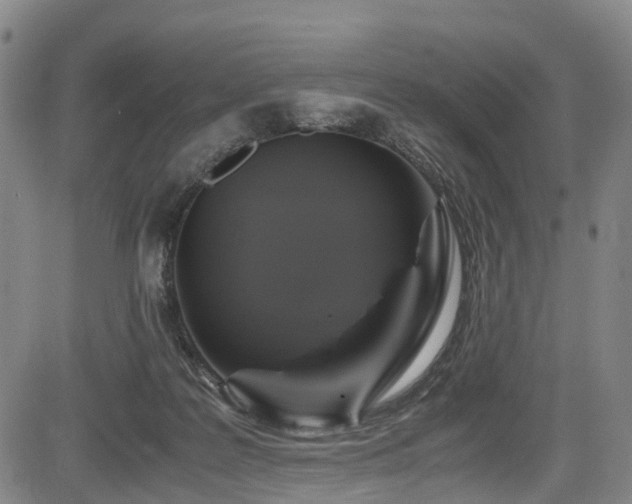 X0000083980219200702161112