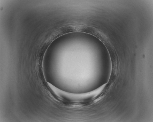 X0000083980221200702161112