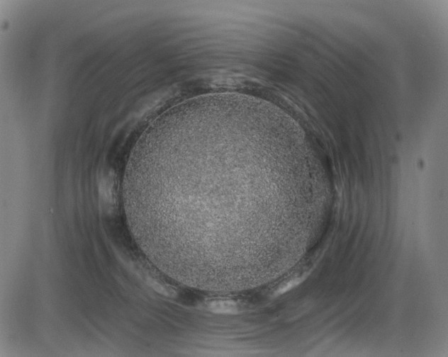 X0000083980228200702161111