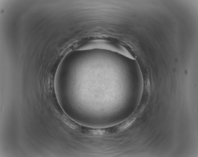X0000083980233200702161111