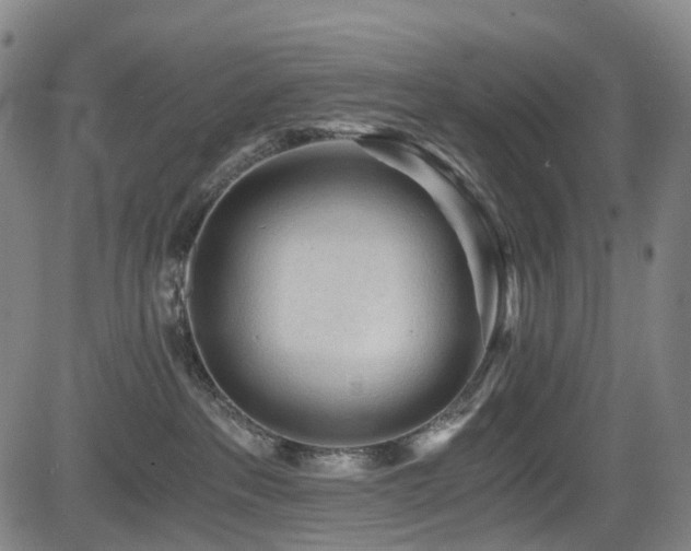 X0000083980237200702161111