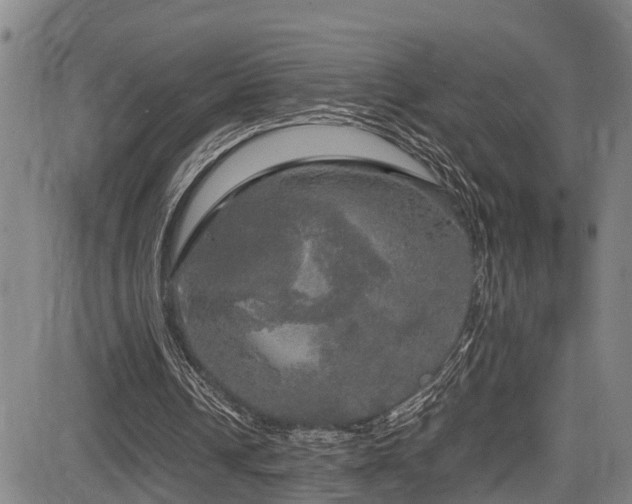 X0000083980242200702161110