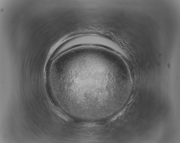 X0000083980246200702161111