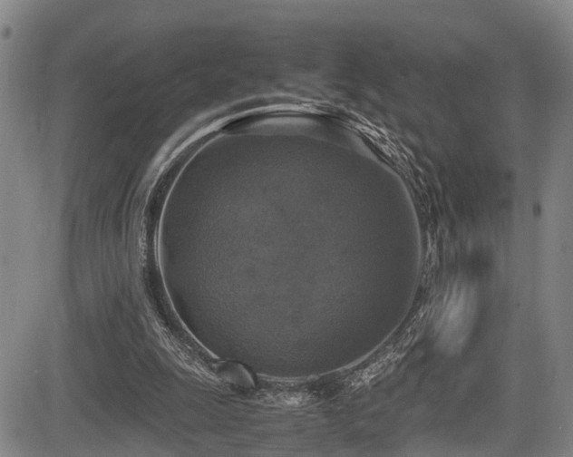 X0000083980247200702161111