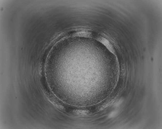 X0000083980255200702161111