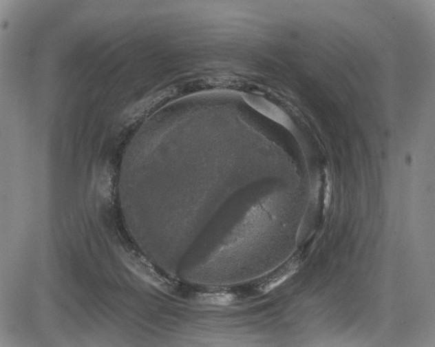 X0000083980266200702161111