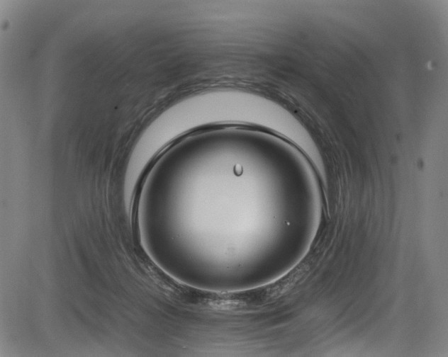 X0000083980268200702161111