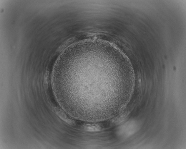 X0000083980275200702161111