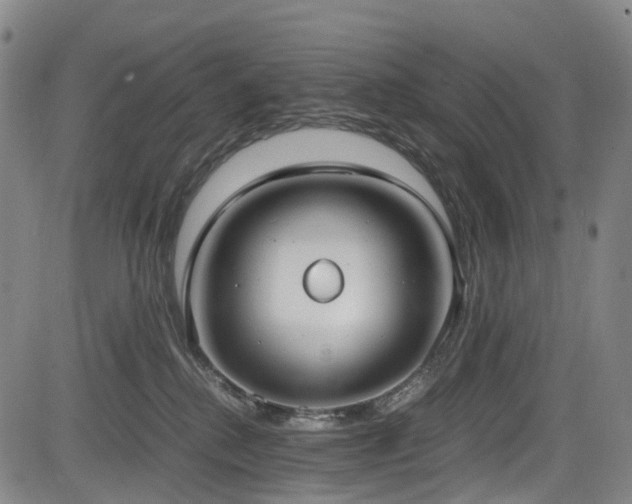 X0000083980280200702161111