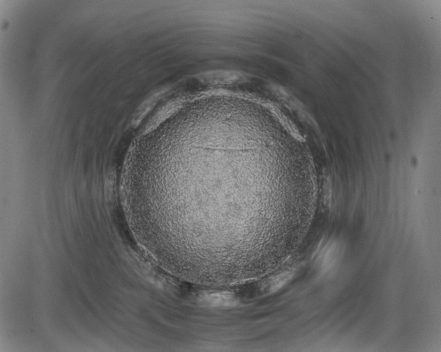 X0000083980283200702161111