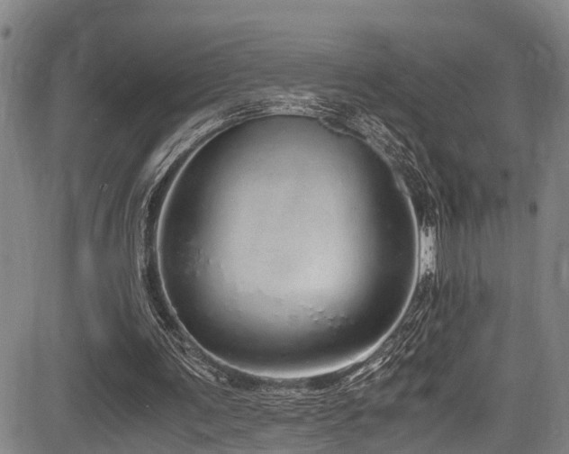 X0000083980291200702161110
