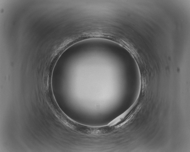 X0000083980301200702161110