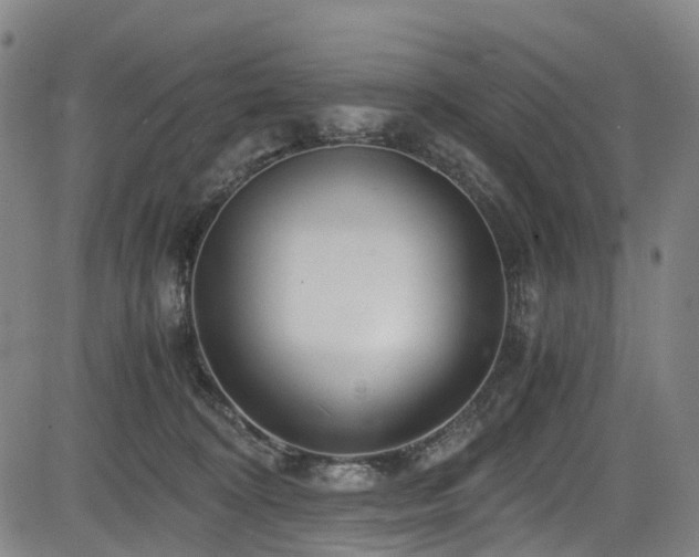 X0000083980324200702161110