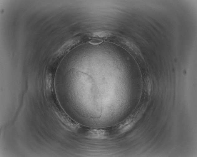 X0000083980328200702161110