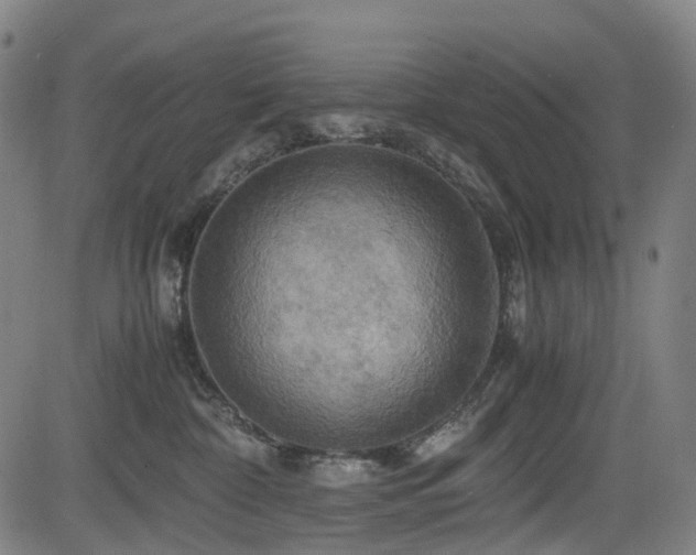 X0000083980332200702161110