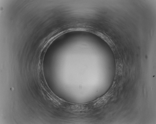 X0000083980338200702161109