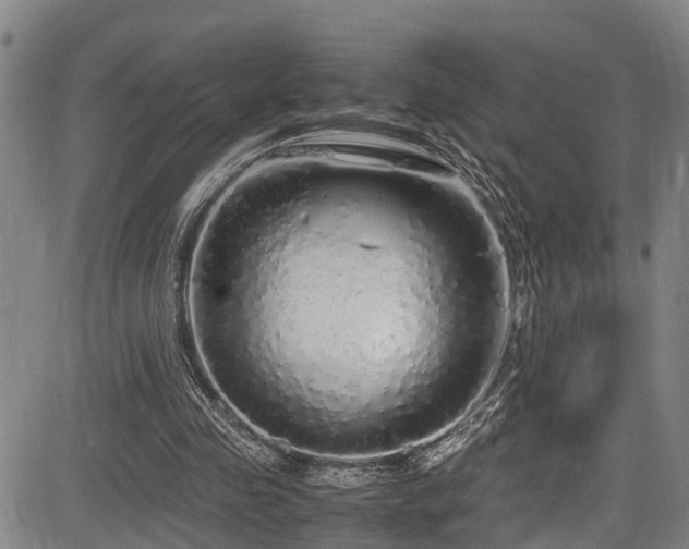 X0000083980341200702161109