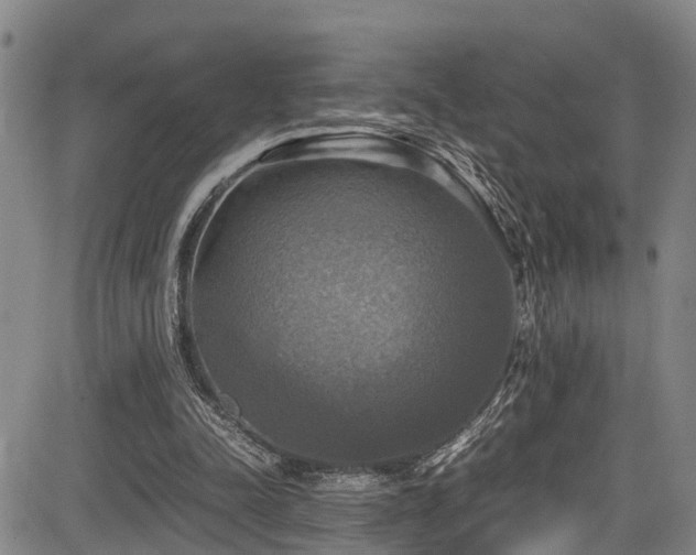 X0000083980342200702161109