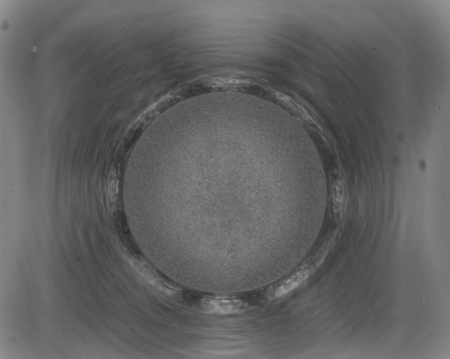 X0000083980372200702161109
