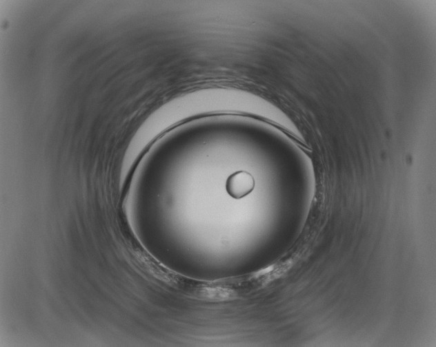 X0000083980376200702161110
