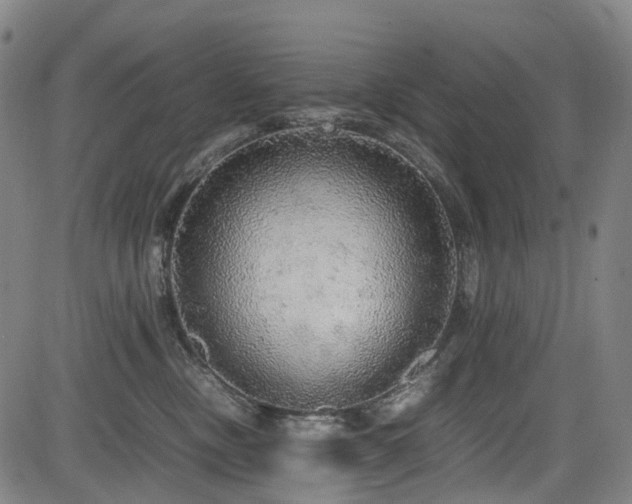 X0000083980378200702161110