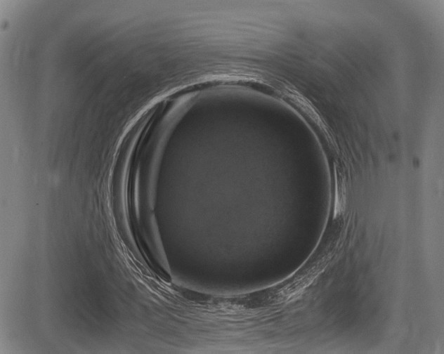 X0000083980387200702161109