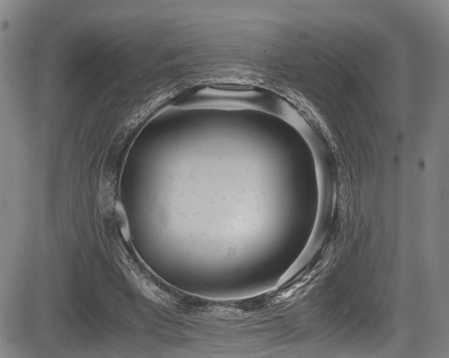 X0000083980393200702161109
