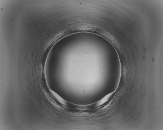X0000083980397200702161109