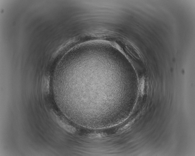 X0000083980404200702161109