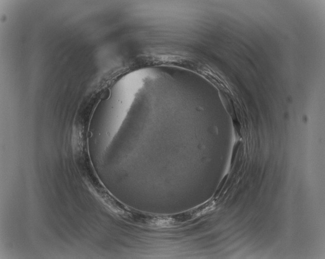 X0000083980410200702161108