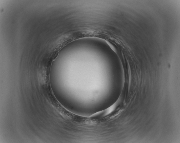 X0000083980416200702161108