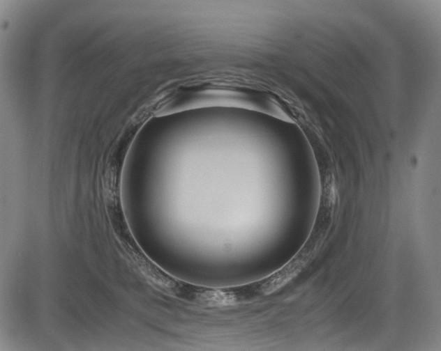 X0000083980421200702161108