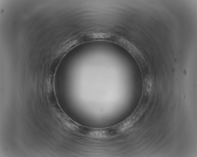 X0000083980422200702161108