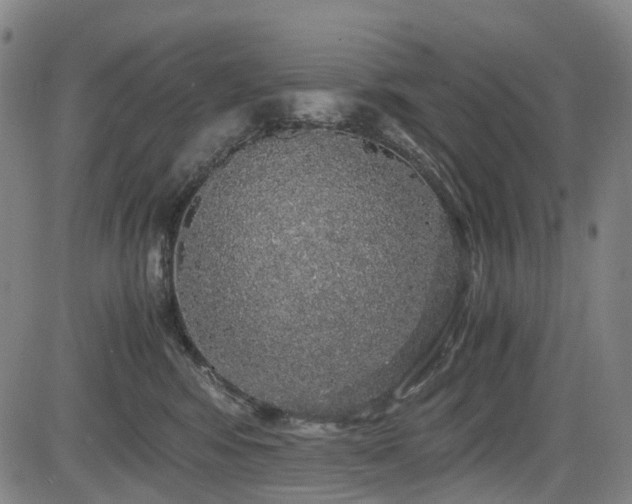 X0000083980424200702161108