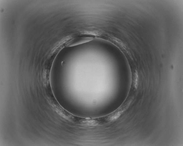 X0000083980428200702161108