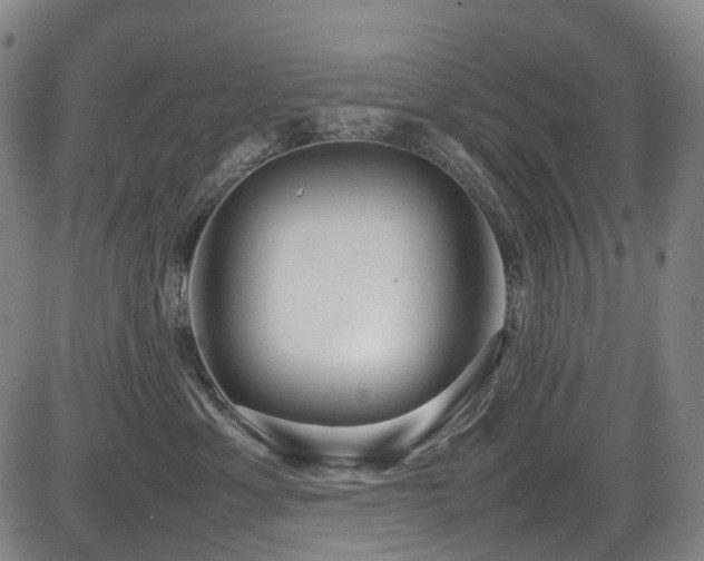 X0000083980429200702161108