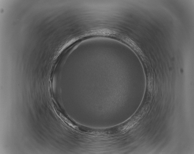 X0000083980434200702161107