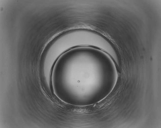 X0000083980440200702161107