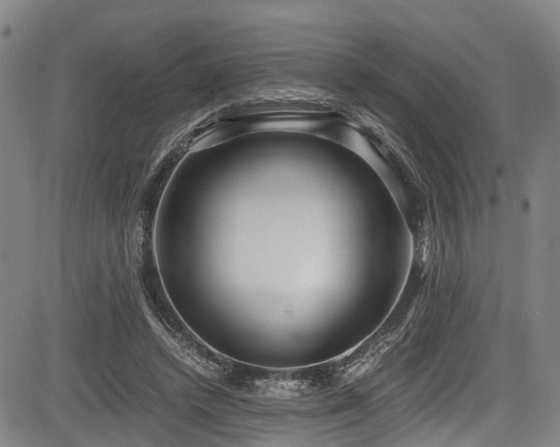 X0000083980448200702161108