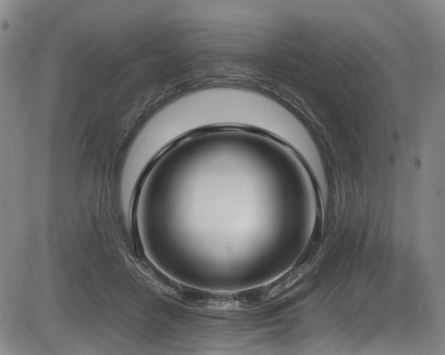 X0000083980458200702161108