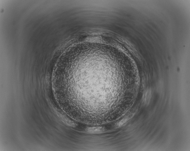 X0000083980461200702161108