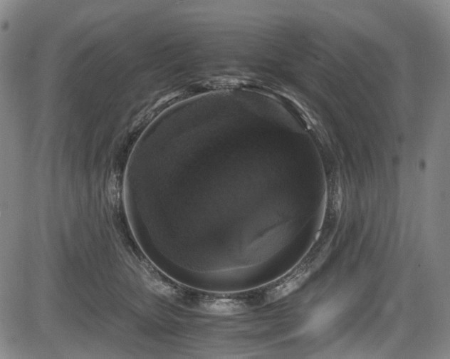 X0000083980467200702161108